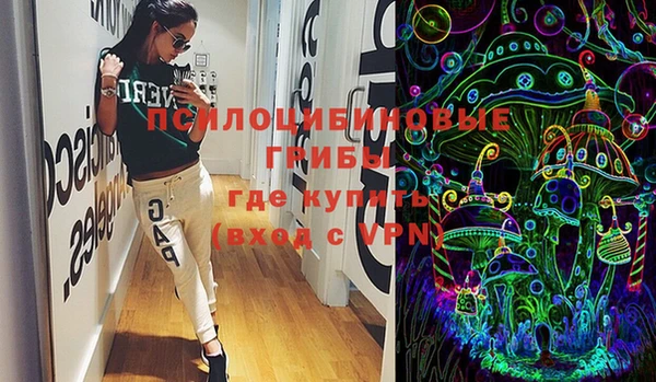 прущие грибы Балахна