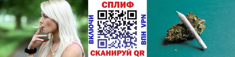 где продают наркотики  Зима  Шишки марихуана OG Kush 